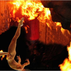 Fire Bat II, 2005 Fire Bat II, 2005