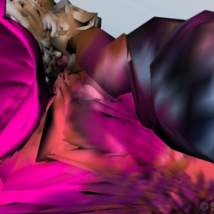 Graces, 2014