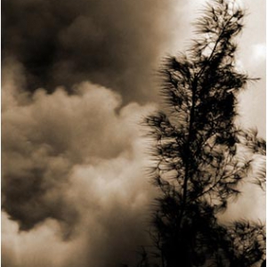 Harbour Smoke BR, 2004