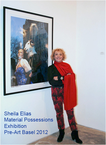 SheilaElias-MaterialPossessions-2012